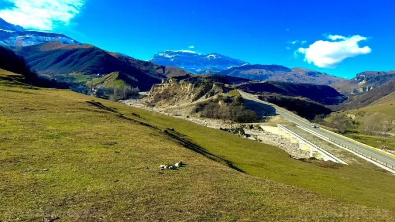 Satılır Torpaq 12 sot Qusar