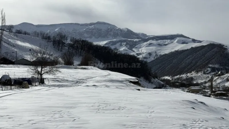 Satılır Torpaq 12 sot Qusar - şəkil 5