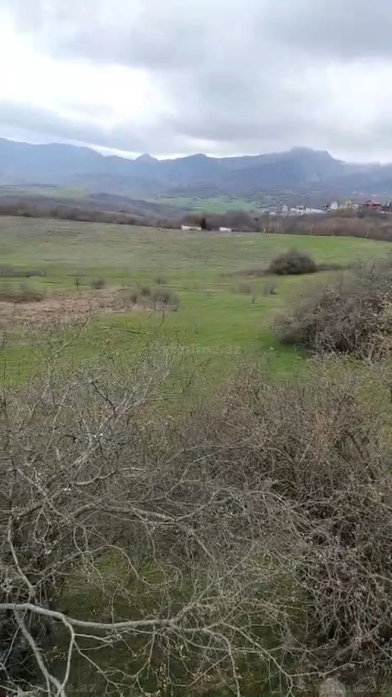 Satılır Torpaq 900 sot Şamaxı - şəkil 2