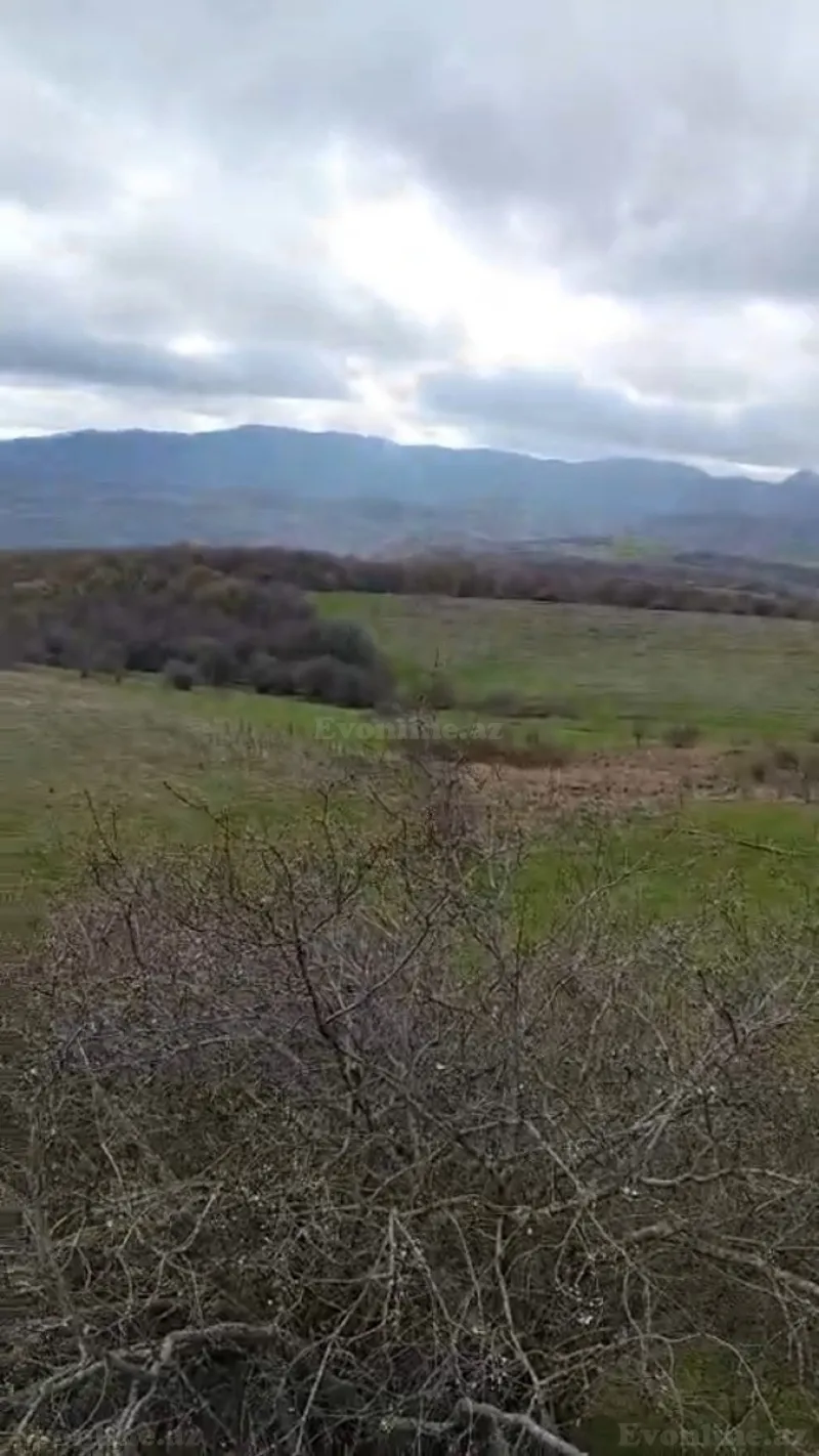 Satılır Torpaq 900 sot Şamaxı - şəkil 3