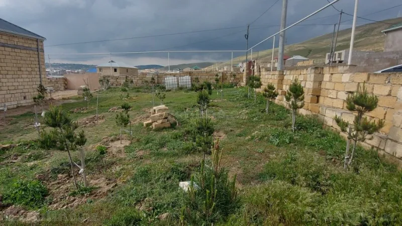 Satılır Torpaq 2.6 sot Qobu - şəkil 2