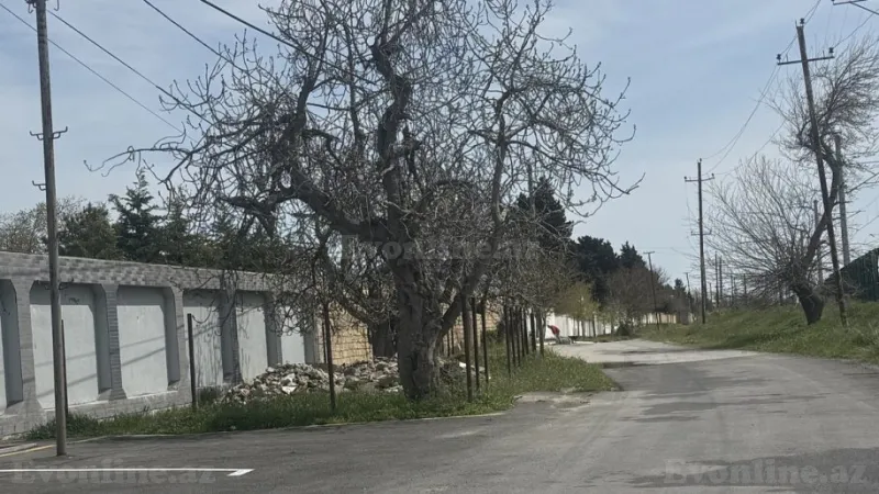 Satılır Torpaq 3 sot Fatmayı - şəkil 5