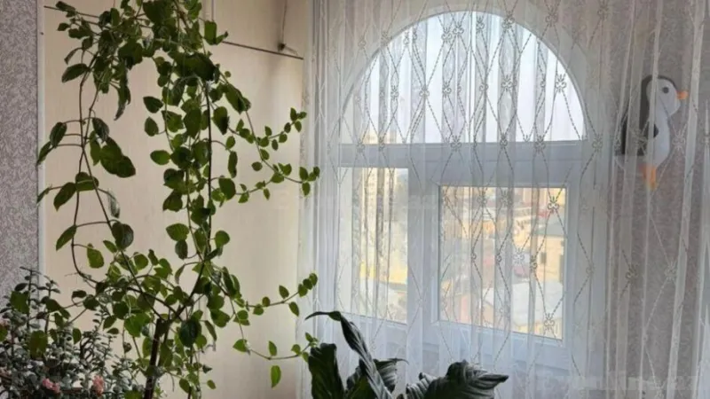 Satılır 3 otaqlı Mənzil Köhnə tikili 75 m² Qara Qarayev m. - şəkil 12