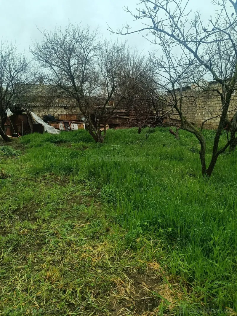 Satılır Torpaq 3 sot Hövsan - şəkil 3