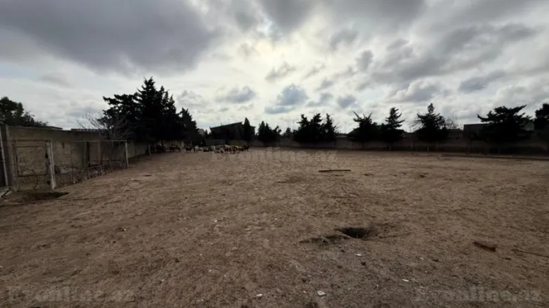 Satılır Torpaq 32 sot Buzovna - şəkil 2