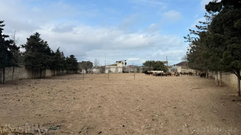 Satılır Torpaq 32 sot Buzovna - şəkil 4