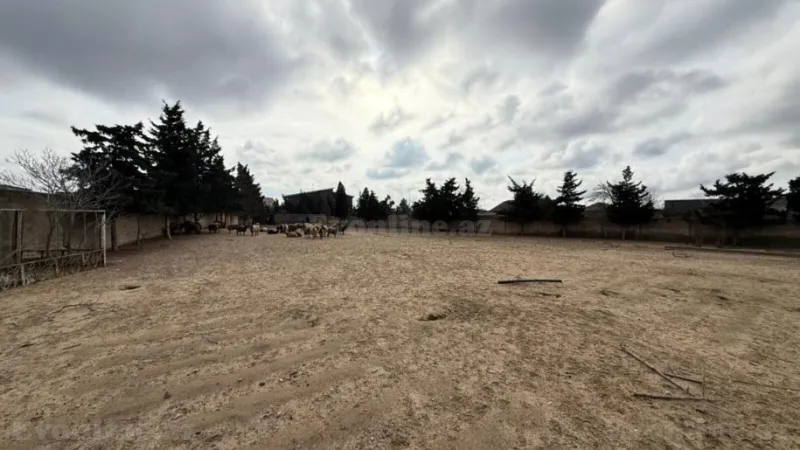 Satılır Torpaq 32 sot Buzovna - şəkil 5