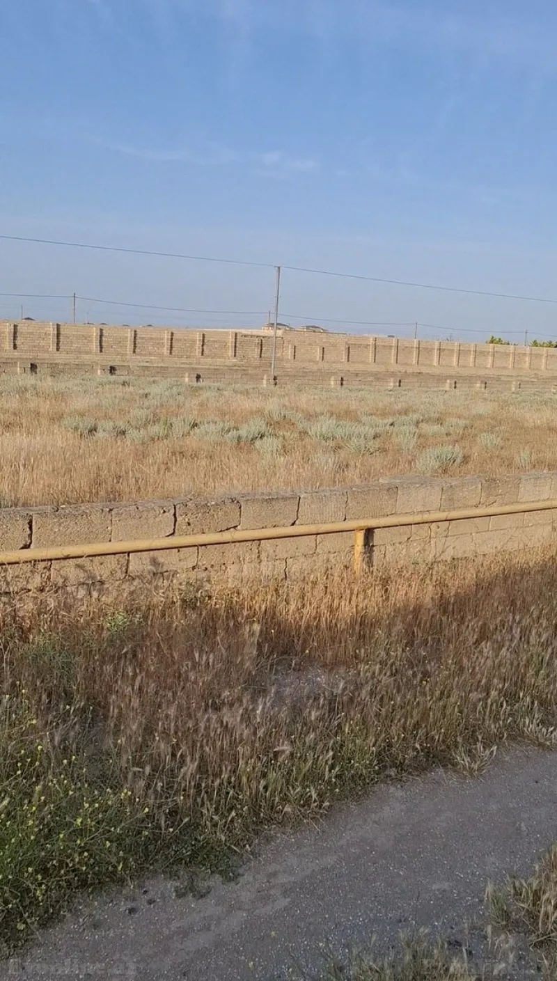 Satılır Torpaq 10 sot Türkan - şəkil 2