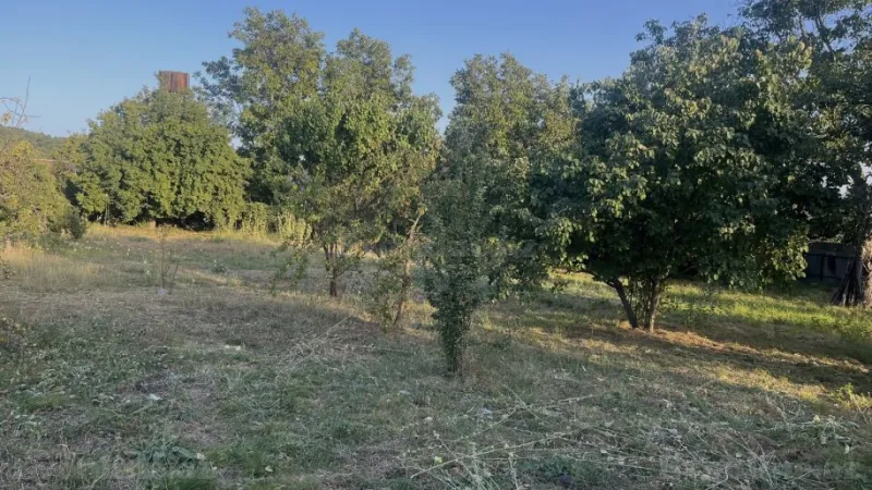 Satılır Torpaq 10 sot İsmayıllı