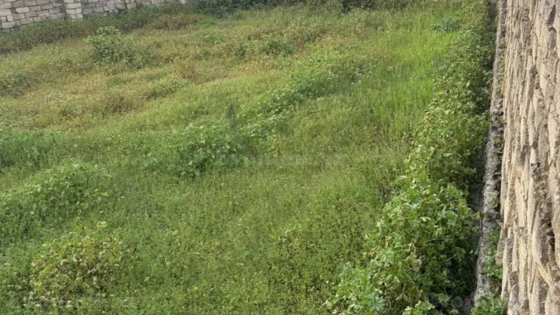 Satılır Torpaq 3 sot Bilgəh