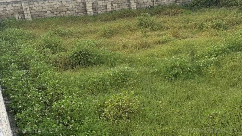 Satılır Torpaq 3 sot Bilgəh - şəkil 5