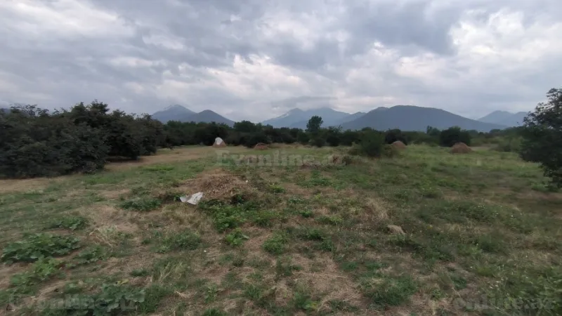 Satılır Torpaq 245 sot Qəbələ