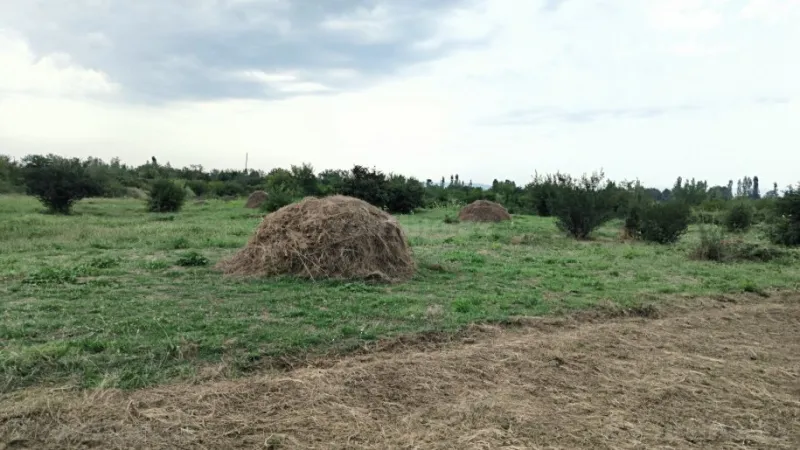 Satılır Torpaq 245 sot Qəbələ - şəkil 8