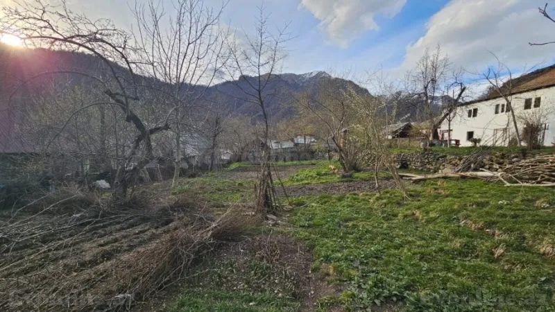 Kirayə verilir Torpaq 5 sot Qəbələ