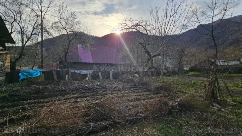 Kirayə verilir Torpaq 5 sot Qəbələ - şəkil 2