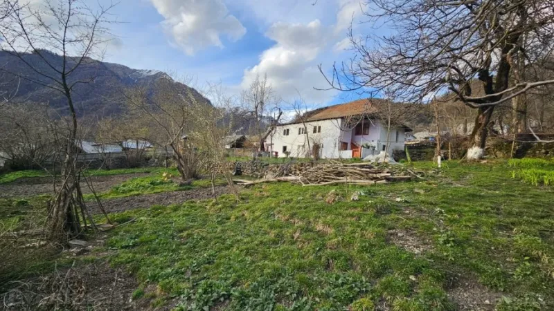 Kirayə verilir Torpaq 5 sot Qəbələ - şəkil 3