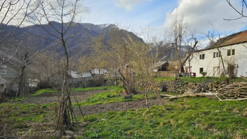 Kirayə verilir Torpaq 5 sot Qəbələ - şəkil 4