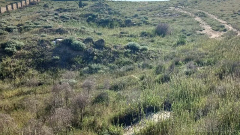 Satılır Torpaq 65 sot Badamdar - şəkil 6