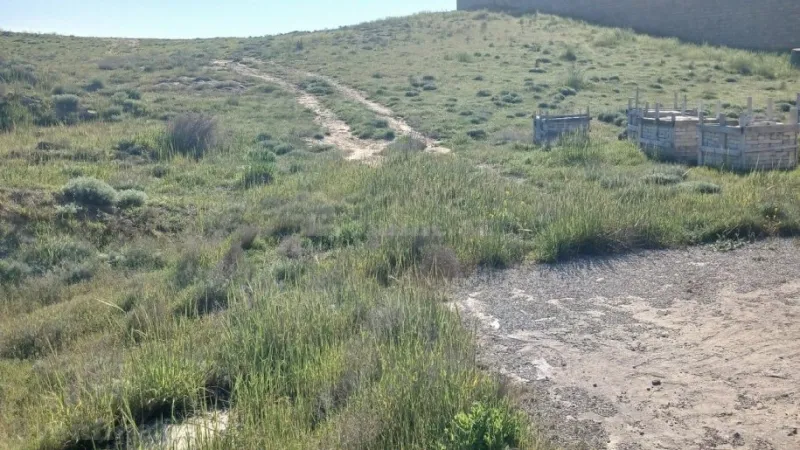 Satılır Torpaq 65 sot Badamdar - şəkil 7