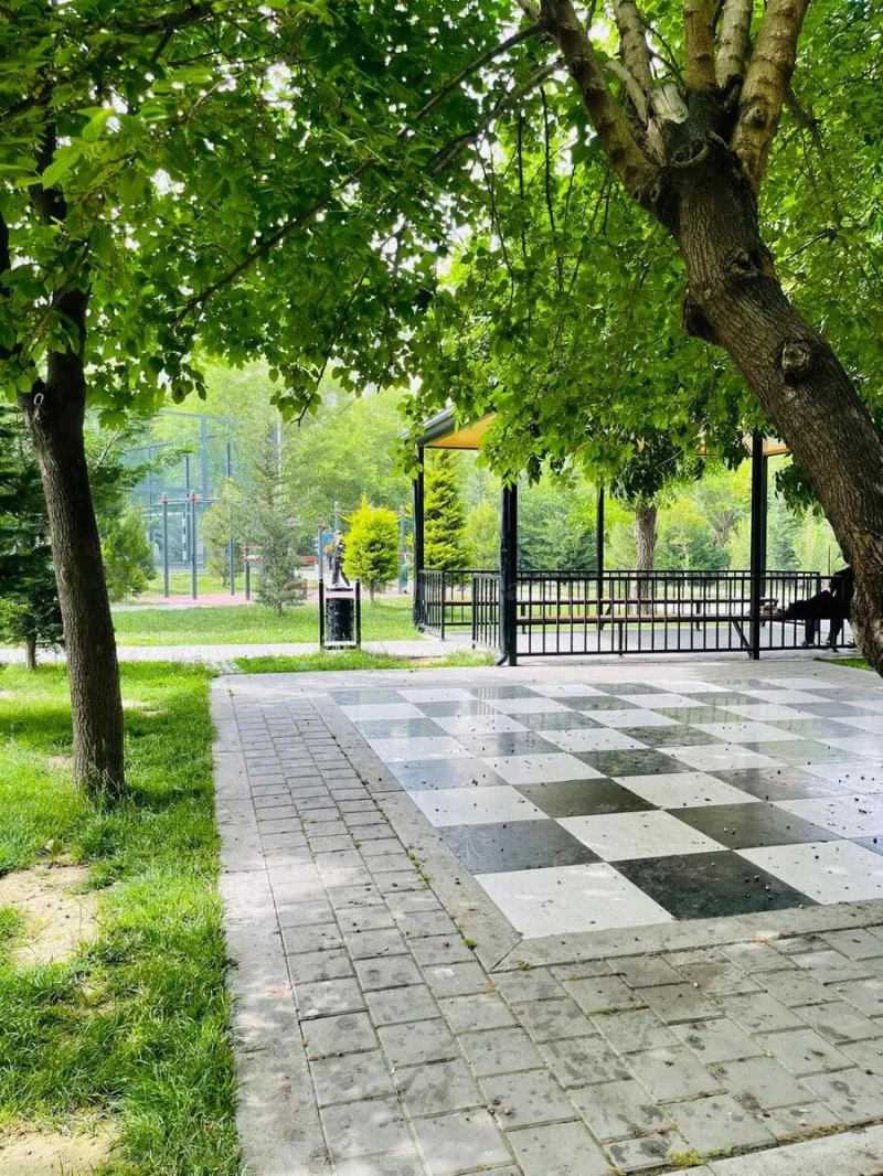 Satılır 2 otaqlı Mənzil Köhnə tikili 50 m² 1-ci mikrorayon - şəkil 7