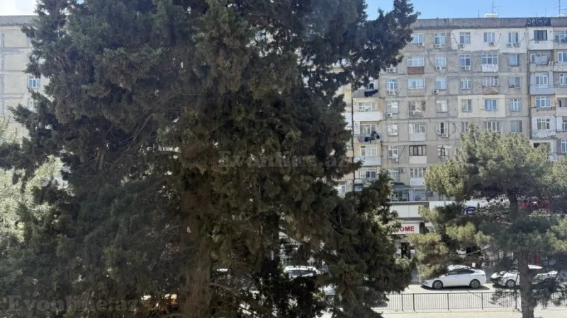 Satılır 3 otaqlı Mənzil Köhnə tikili 65 m² Əhmədli - şəkil 16