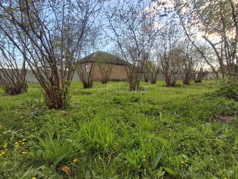 Satılır Torpaq 5 sot Qəbələ