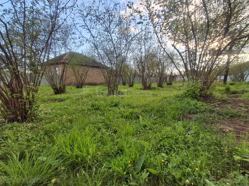 Satılır Torpaq 5 sot Qəbələ - şəkil 2