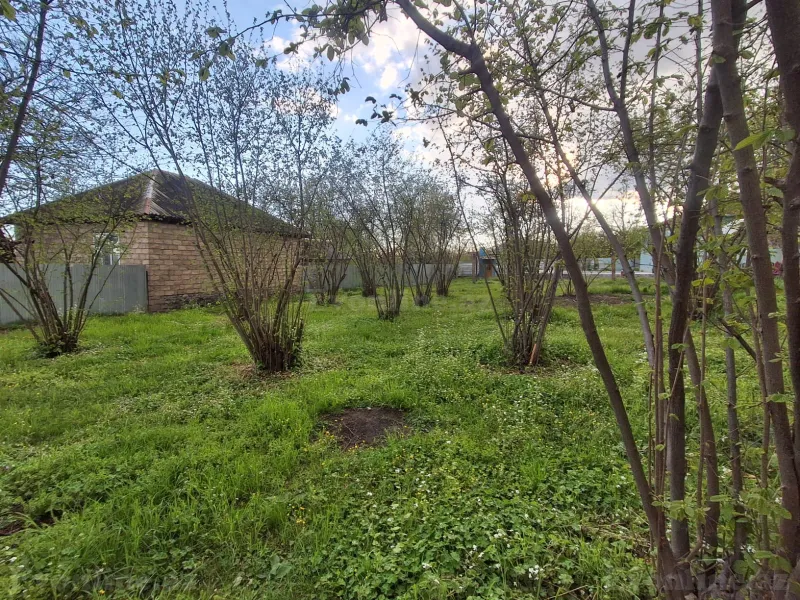 Satılır Torpaq 5 sot Qəbələ - şəkil 3