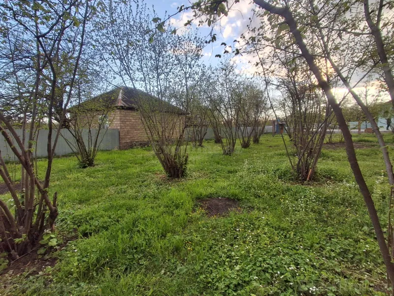 Satılır Torpaq 5 sot Qəbələ - şəkil 4