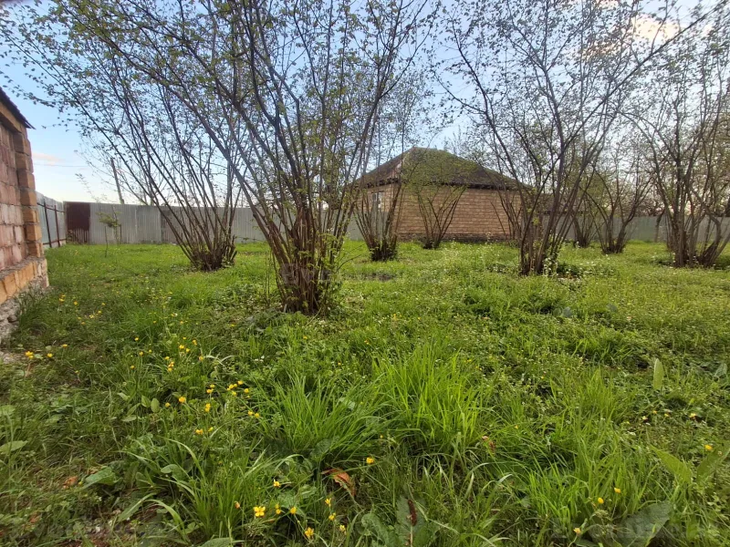 Satılır Torpaq 5 sot Qəbələ - şəkil 5