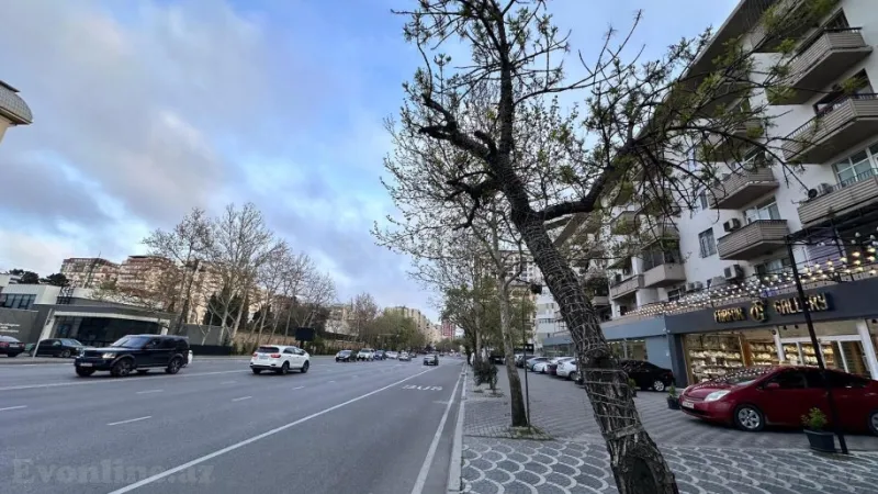 Satılır 2 otaqlı Mənzil Köhnə tikili 42 m² Nərimanov r. - şəkil 3