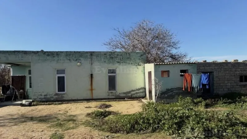 Satılır Torpaq 5 sot Qala - şəkil 2