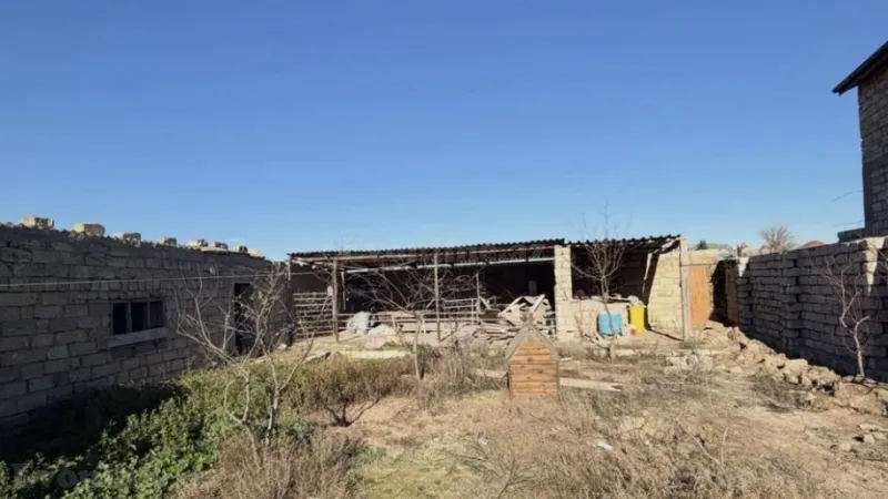 Satılır Torpaq 5 sot Qala - şəkil 4