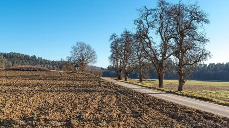 Satılır Torpaq 25 sot Suraxanı r. - şəkil 2