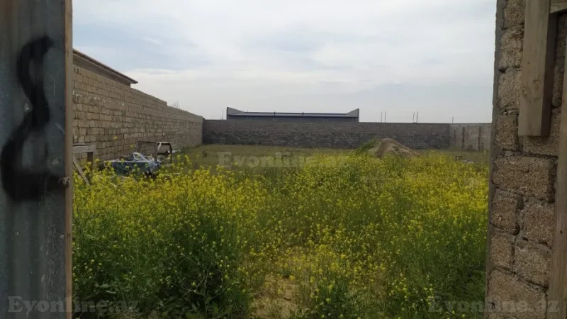 Satılır Torpaq 14 sot Qala - şəkil 3