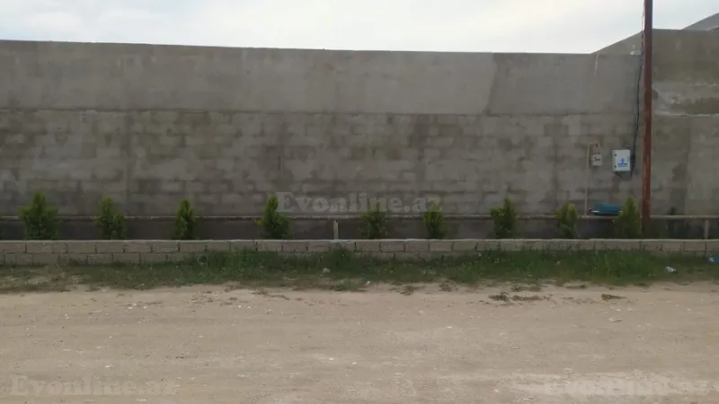 Satılır Torpaq 14 sot Qala - şəkil 5