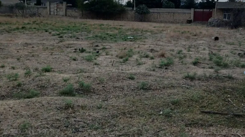 Satılır Torpaq 50 sot Ramana - şəkil 3