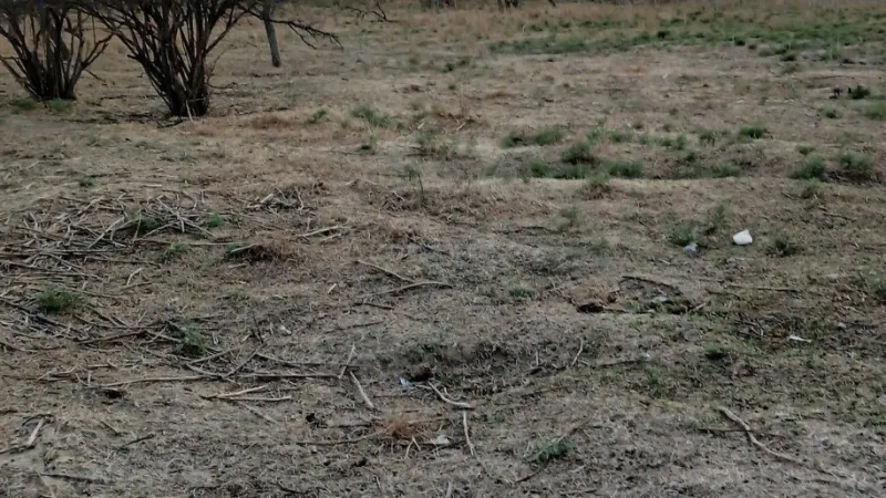 Satılır Torpaq 50 sot Ramana - şəkil 4