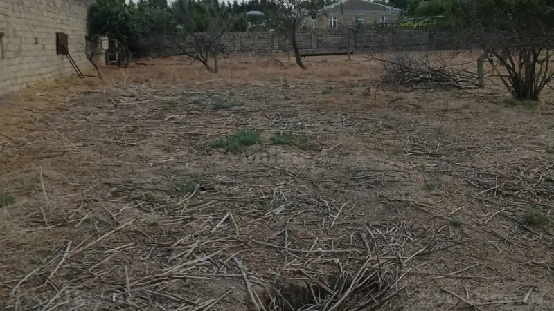 Satılır Torpaq 50 sot Ramana - şəkil 5