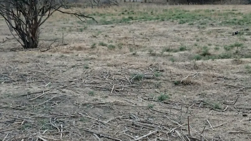 Satılır Torpaq 50 sot Ramana - şəkil 6