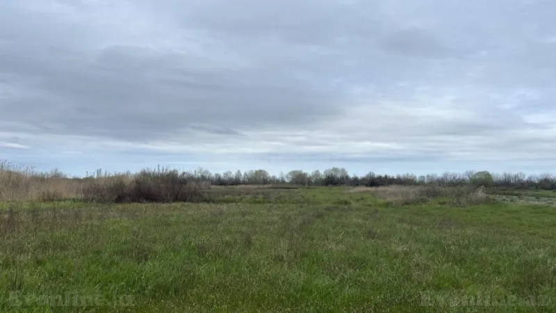 Satılır Torpaq 130 sot Xaçmaz - şəkil 2