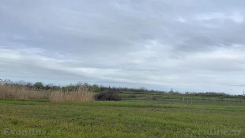 Satılır Torpaq 130 sot Xaçmaz - şəkil 4