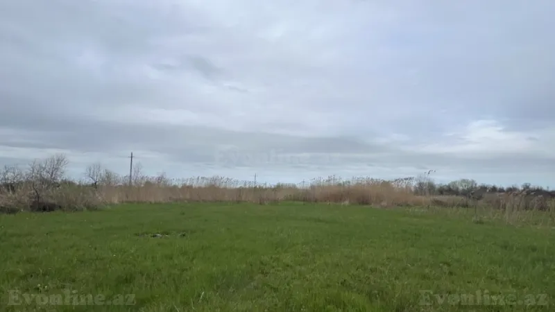 Satılır Torpaq 130 sot Xaçmaz - şəkil 5