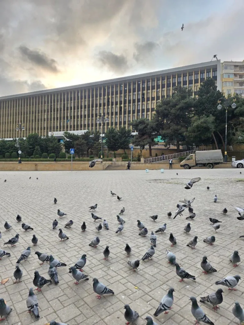 3 otaqlı Mənzil 65 m² Nizami m. Satılır