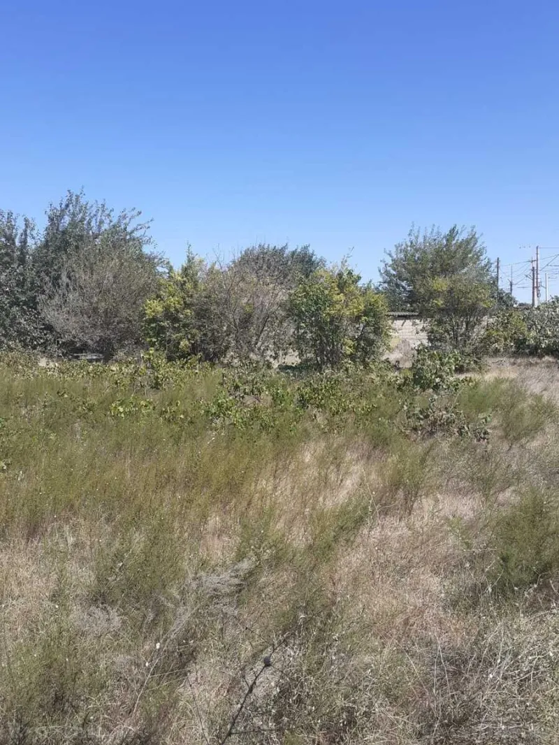 Satılır Torpaq 16 sot Novxanı - şəkil 4