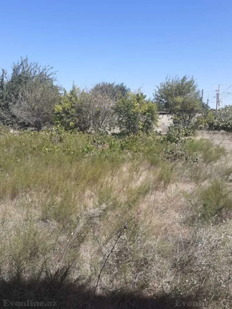 Satılır Torpaq 16 sot Novxanı - şəkil 5