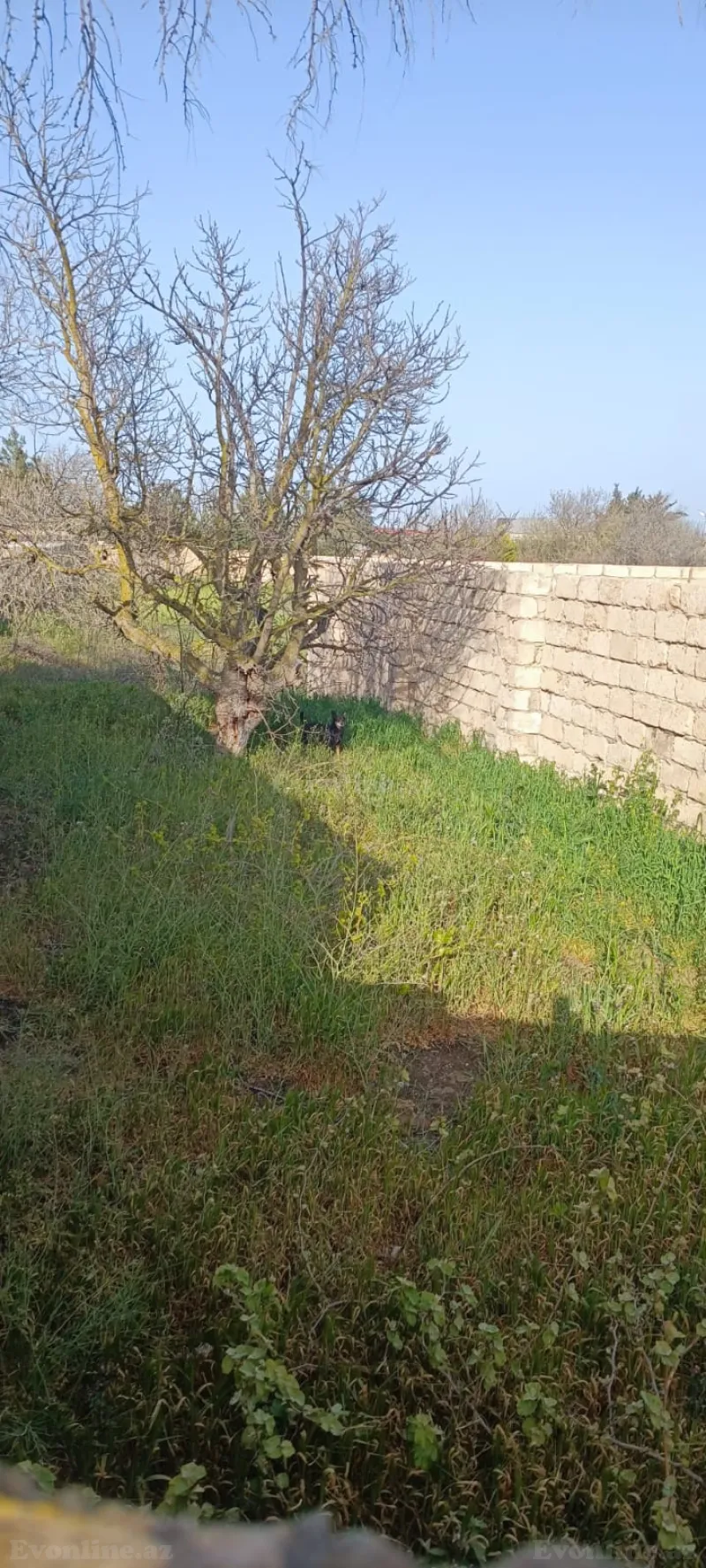 Torpaq Qala Satılır