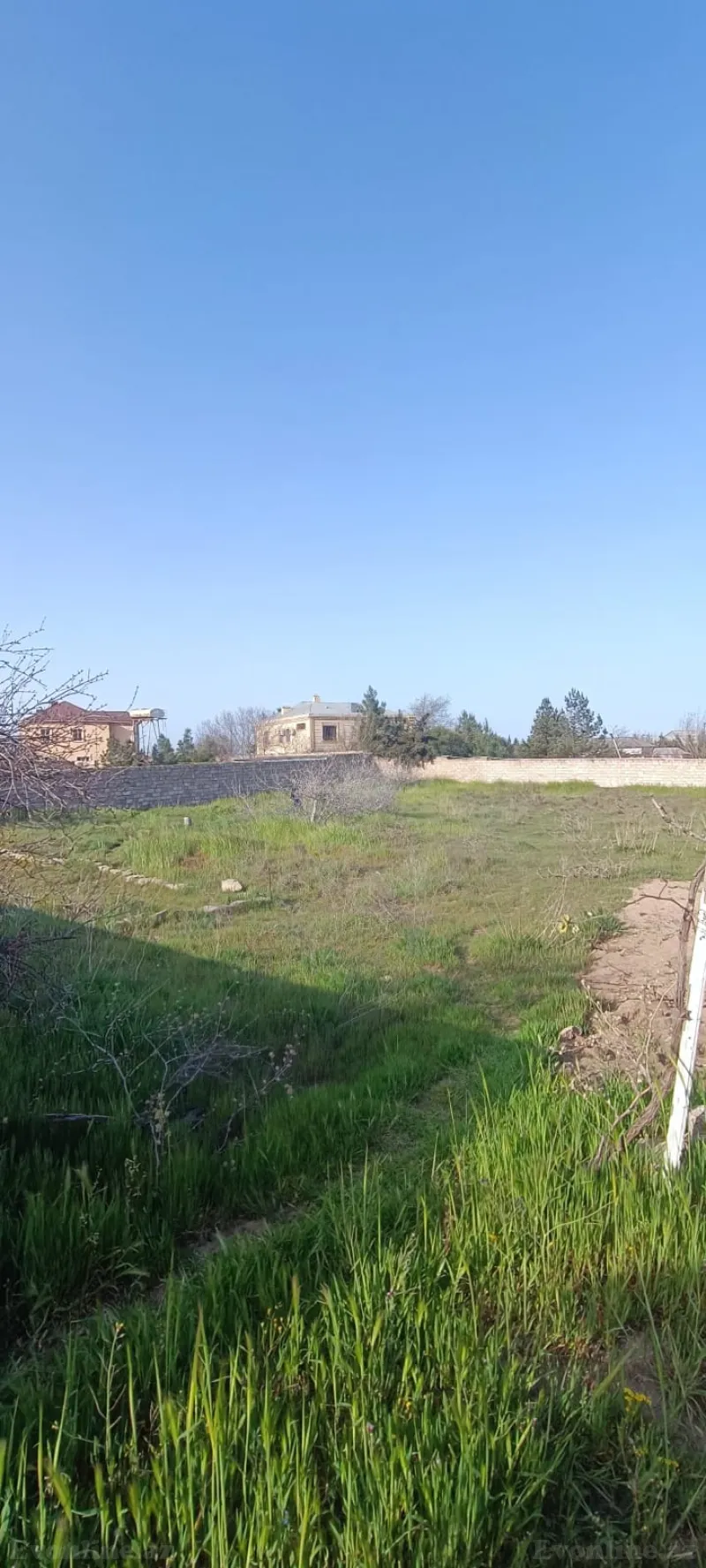 Satılır Torpaq 7 sot Qala - şəkil 3