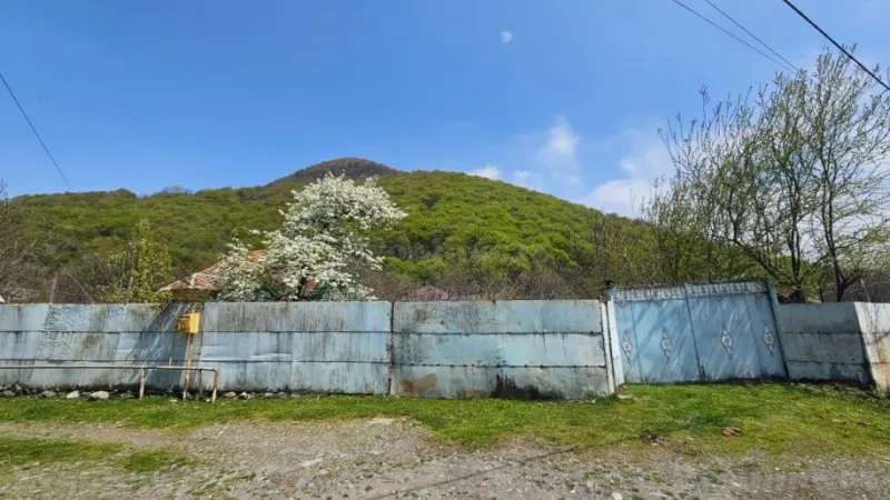 Satılır Torpaq 8 sot Qəbələ