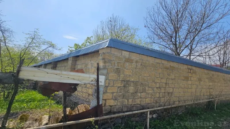 Satılır Torpaq 8 sot Qəbələ - şəkil 2